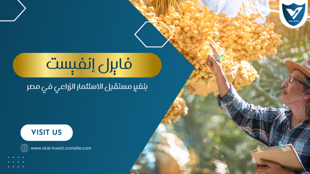 من أرض الواقع: إزاي فايرل انفيست بتغير مستقبل الاستثمار الزراعي في مصر؟
