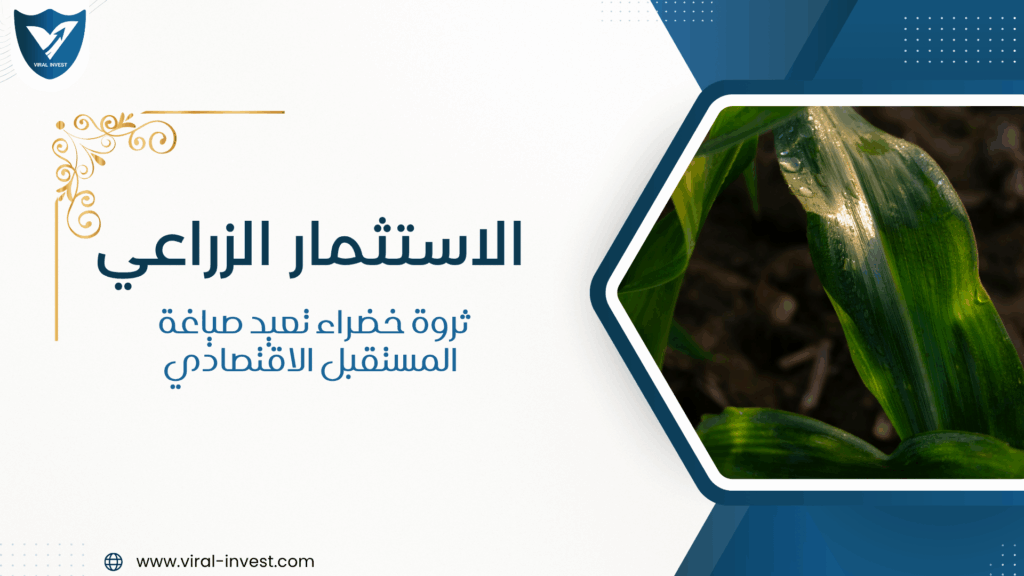 الاستثمار الزراعي… ثروة خضراء تعيد صياغة المستقبل الاقتصادي