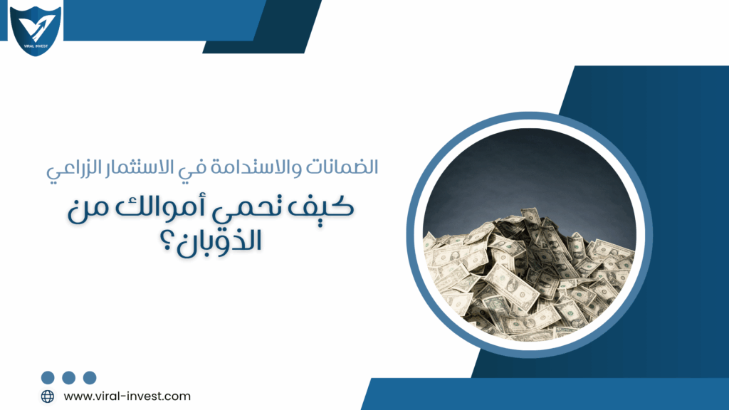 فايرل إنفيست… من الاستثمار الآمن إلى العائد المستدام