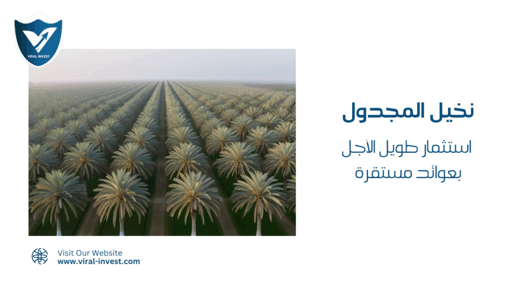 نخيل المجدول… استثمار طويل الأجل بعوائد مستقرة